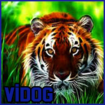 Avatar užívateľa